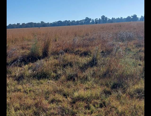 13,397M² VACANT LAND FOR SALE IN DE DEUR
